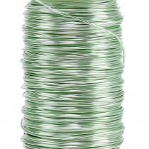 Product Deco enameled wire mint green Ø0.50mm 50m 100g