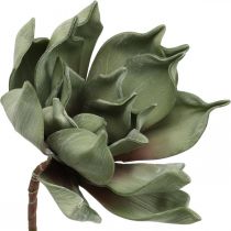 Deco lotus flower, lotus blossom, silk flower green L64cm