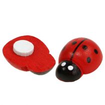 Product Decorative ladybugs for gluing 1.5cm red 360pcs