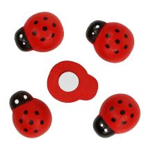 Product Decorative ladybirds for gluing 2.5cm red 72 pcs