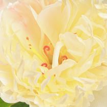 Product Yellow Peonies Artificial Flowers with Blossom 64cm 2pcs