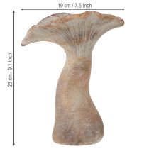 Product Decorative mushroom cast stone autumn decoration gray washed 19×15cm H23cm