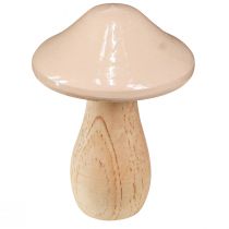 Product Decorative mushrooms made of wood brown beige orange Ø7.5cm H10cm 3 pcs