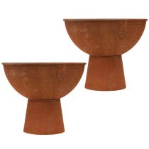 Product Decorative bowl with foot trophy bowl rust metal Ø20.5cm 2pcs