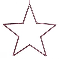 Product Decoration Star Berry Christmas decoration for hanging Ø18cm 8 pcs