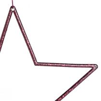 Product Decoration Star Berry Christmas decoration for hanging Ø18cm 8 pcs