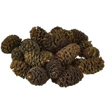 Product Decorative cones alder cones natural for decorating 3-4cm 200g