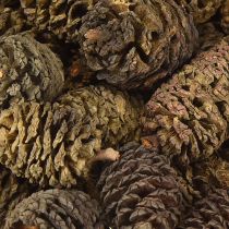 Product Decorative cones alder cones natural for decorating 3-4cm 200g