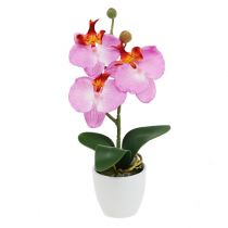 Deco orchid in pot pink H29cm