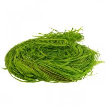 Product Decorative raffia for handicrafts Natural raffia bast apple green 200g