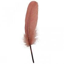 Product Decorative feathers for handicrafts Dusky pink real bird feathers 20g