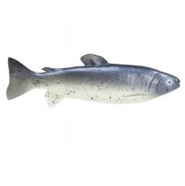 Product Decorative fish food dummy fish artificial 31cm