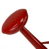 Product Decorative red metal watering can, 5L vintage planter, rustic indoor watering can, H26cm