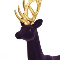 Product Deco deer reindeer purple gold flocked figure H37cm