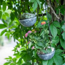 Decorative trowel metal, decorative bowl for hanging Gray Ø13cm
