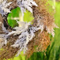 Product Deco wreath artificial pampas grass cream, brown door wreath Ø60cm