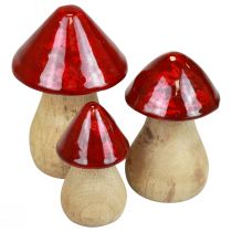 Product Decorative mushrooms wooden mushrooms red gloss autumn decoration H6/8/10cm set of 3