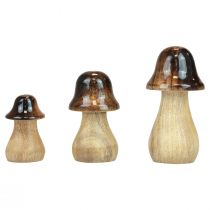 Decorative mushrooms wooden mushrooms brown gloss effect autumn decoration H6/8/10cm