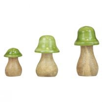 Decorative mushrooms wood wooden mushrooms light green glossy H6/8/10cm set of 3