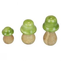 Decorative mushrooms wood wooden mushrooms light green glossy H6/8/10cm set of 3