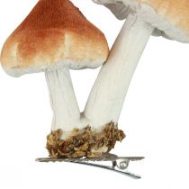 Deco mushrooms with clip autumn decoration flocked sorted 9cm 3pcs