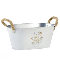 Product Decorative bowl oval metal white natural flowers decor L26cm