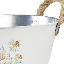 Product Decorative bowl oval metal white natural flowers decor L26cm
