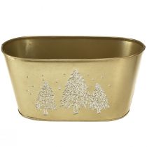 Product Decorative bowl oval Christmas tree planter gold 24×13×12.5cm