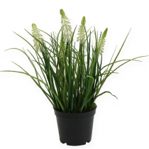 Product Deco grape hyacinth cream in a pot 26cm