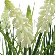 Product Deco grape hyacinth cream in a pot 26cm