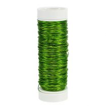 Product Deco enamel wire Ø0.30mm 30g 50m apple green