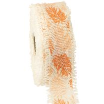 Product Decorative ribbon rainforest cotton ribbon orange 30mm 15m