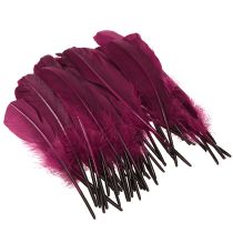 Product Decorative feathers burgundy goose feathers craft supplies 20g x 2pcs