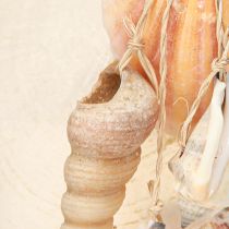 Product Decorative hanger Beach House Blue Capiz tower snail H25cm