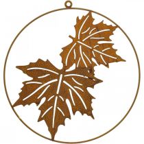 Decor ring leaf patina metal ring rust decoration wall decoration Ø30cm