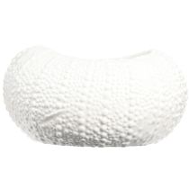 Product Decorative Bowl Ceramic Maritime Oval in White 19x15x8.5cm