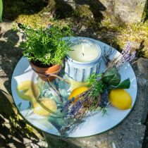 Product Decorative plate, Mediterranean, metal plate with lemon branch Ø34cm