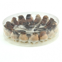 Product Decorative birds 9cm on wire 16 pcs