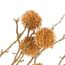 Product Decorative branch sweetgum tree fruit decoration ochre brown 48cm
