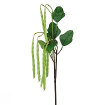 Product Decorative branch bean branch artificial plant green 68cm