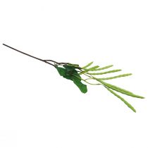 Product Decorative branch bean branch artificial plant green 68cm