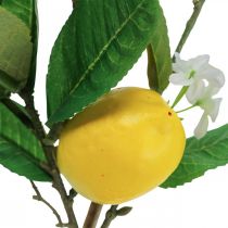 Decorative lemon branch with flowers and fruits H68cm