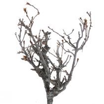 Deco branches bonsai wood deco branches 15-30cm 650g