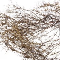 Deco branches Iron Bush branches natural decoration wood nature 250g
