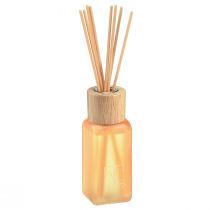 Product Room Fragrance Diffuser Glass Ginger Camila Fragrance Sticks 100ml