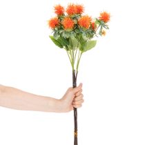Product Artificial Safflower Stems Orange for Vase Decoration and Home Styling 55cm Set of 4