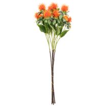 Product Artificial Safflower Stems Orange for Vase Decoration and Home Styling 55cm Set of 4