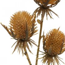 Product Thistle Branch Brown Artificial Plant Fall Decoration 38cm Artificial plant like the real thing!