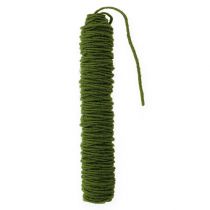 Product Wick thread felt cord wool cord moss green Ø5mm 50m