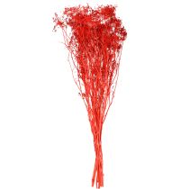 Product Umbellifer decorative bouquet for weddings and events